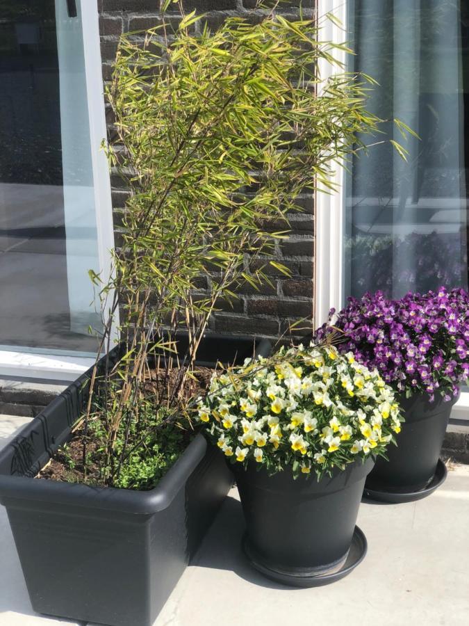 BnB Purmerland Purmerend Exterior foto